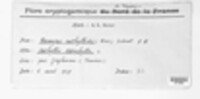 Image Associated With the Occurrence